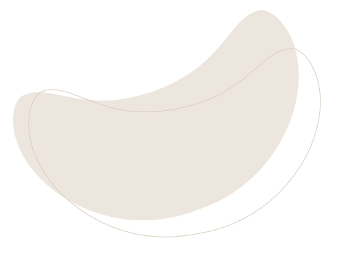layout-slider3-021.png
